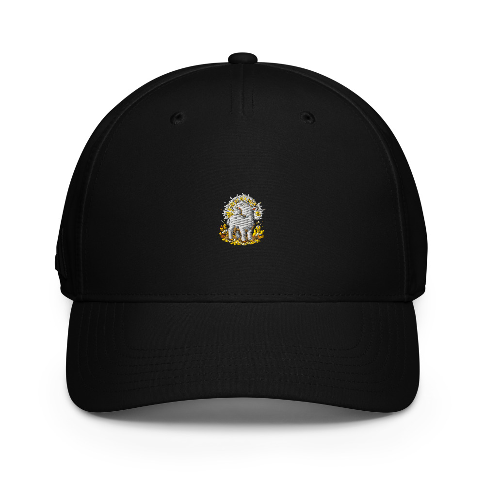 Hāḇel Temple Cap