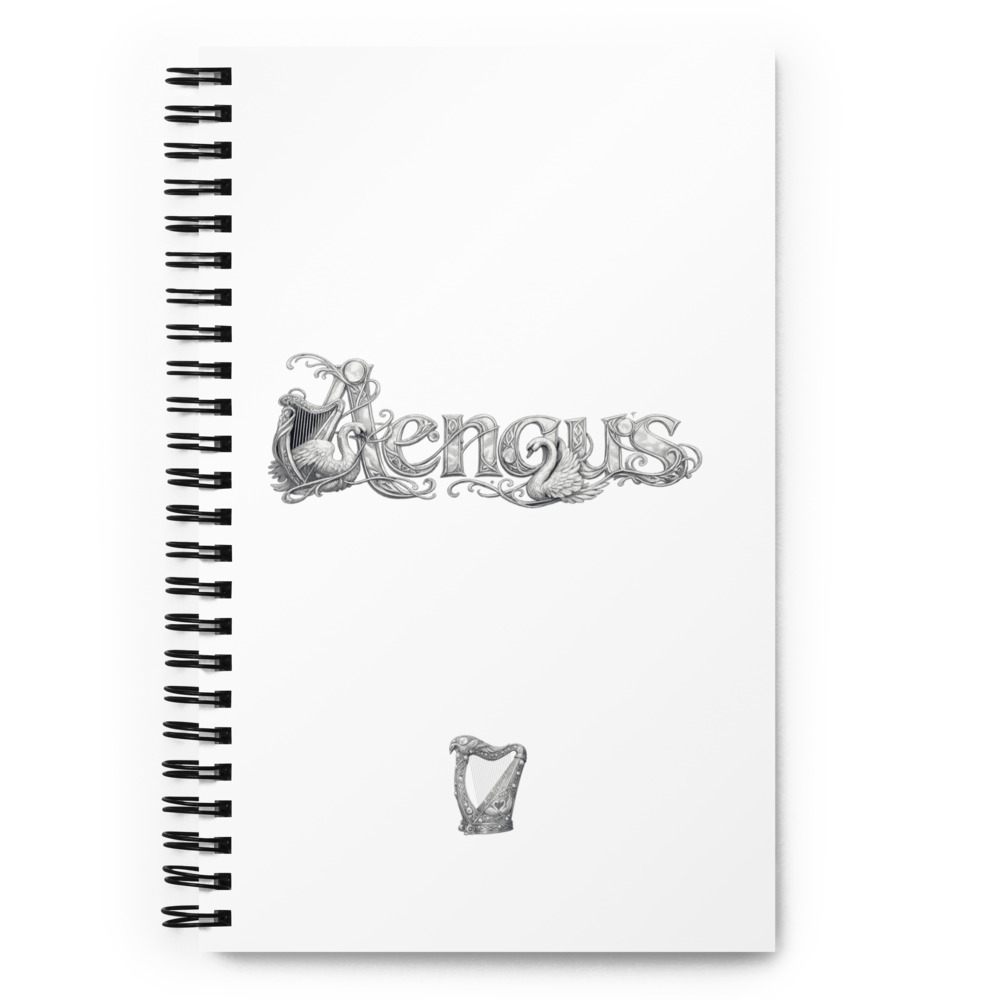 Aengus Temple Notebook